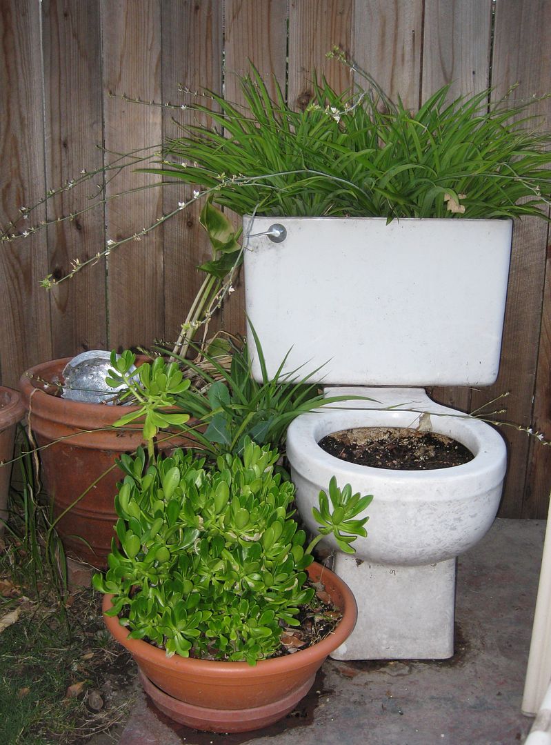 My West Sacramento Photo of the Day Flower Pots....